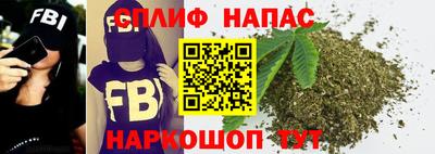 Альфа ПВП Сланцы