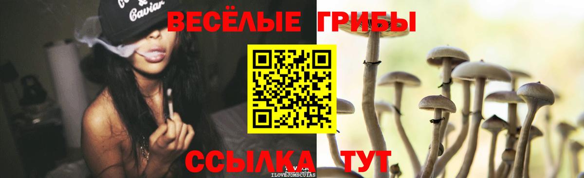 Галлюциногенные грибы прущие грибы Норильск